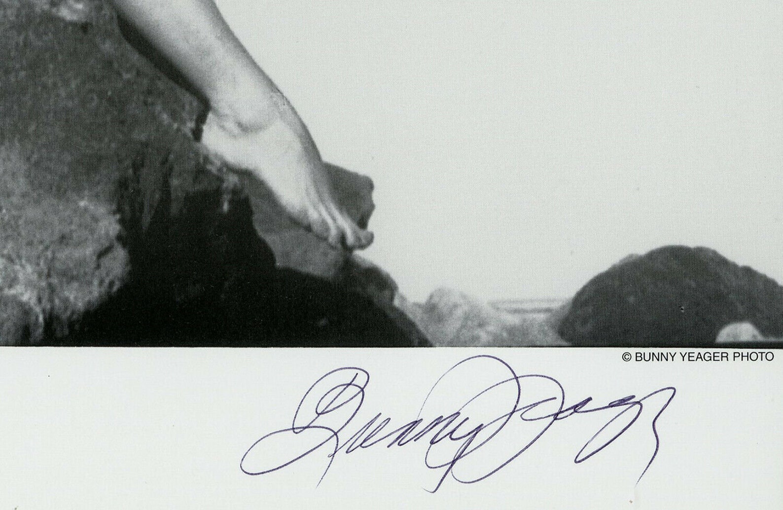 nude diane webber