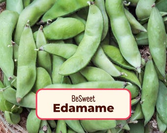 25+ Edamame Bean Seeds 'BeSweet' | Non-GMO, Heirloom Vegetable Gardening Plant Seed Packet for Homesteading, Farming, Growing, Glycine max