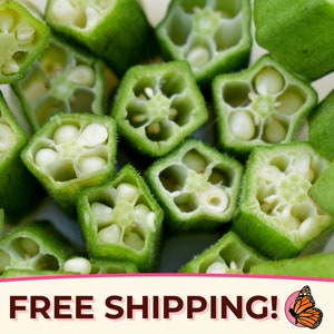 150+ Okra Seeds &#39;Clemson Spineless&#39; | Heirloom, NonGMO, Vegetable Gardening Plant Seed Packet for Homesteading, Abelmoschus esculentus