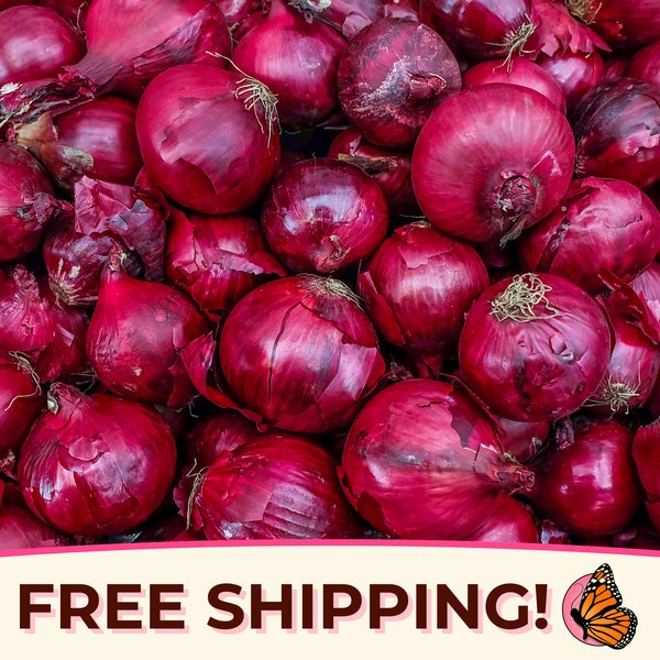 750+ Onion Seeds 'Red Creole' | Heirloom, Non-GMO, Vegetable Gardening Plant Seed Packet for Growing, Farming, Homesteading, Allium cepa