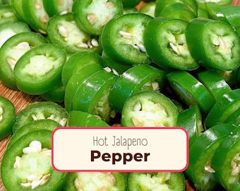 250+ Hot Jalapeno Pepper Seeds | Heirloom, Non-GMO Vegetable Gardening Plant Seed Packets for Growing, Canning, Pickling, Capsicum annuum