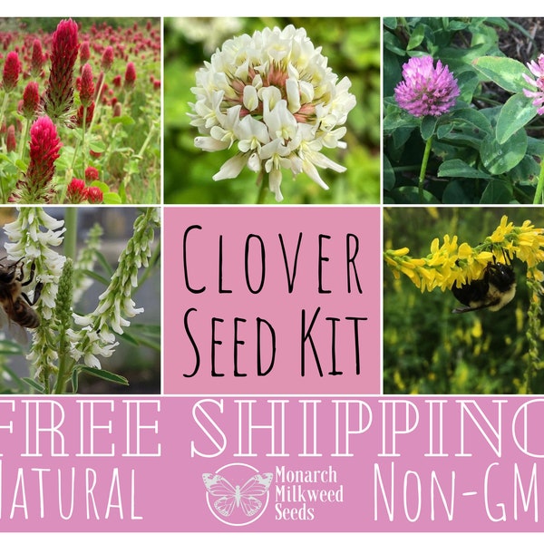 CLOVER SEED KIT | Five Unique Clover Seed Packets | Native Wildflower Gardening Plant Seed Packets for Pollinators, Butterfly & Bees