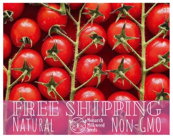 750+ Tomato Seeds 'Large Red Cherry' | Non-GMO, Heirloom, Vegetable Gardening Seed Packet for Growing, Homesteading, Solanum lycopersicum