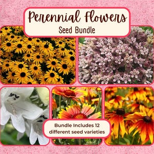 PERENNIAL FLOWERS Seed Bundle | 12 Unique Seed Packets for Perennial Flower Gardening, Wildflower Pollinator Garden Seed, Value Variety Pack