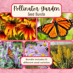 POLLINATOR GARDEN Seed Bundle | 12 Unique Seed Packets for Native Wildflower Garden, Perennial and Annual Flower Plants for Butterfly & Bees