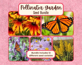 POLLINATOR GARDEN Seed Bundle | 12 Unique Seed Packets for Native Wildflower Garden, Perennial and Annual Flower Plants for Butterfly & Bees
