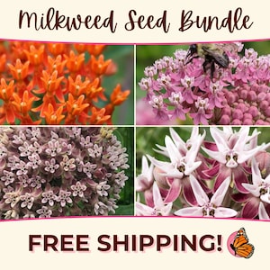 MILKWEED SEED BUNDLE | Four Varieties of Native Milkweed Plant Seeds for the Monarch Butterfly, Flower Gardening, Pollinator Bee, asclepias