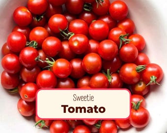 600+ Tomato Seeds 'Sweetie' | Non-GMO, Heirloom, Vegetable Gardening Plant Seed Packets for Growing, Cherry Tomatoes, Solanum lycopersicum