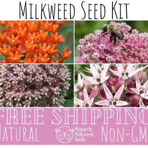 MILKWEED SEED KIT | Four Varieties of Native Milkweed Plant Seeds for the Monarch Butterflies, Flower Gardening, Pollinator Bees, asclepias