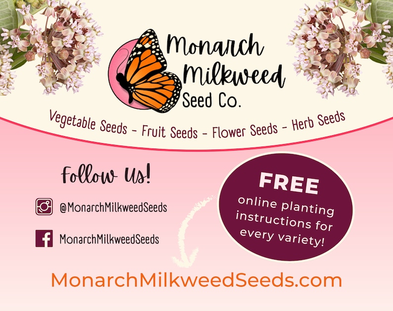 May include: A pink and white graphic with a monarch butterfly and the text "Monarch Milkweed Seed Co."  The graphic also includes the text "Vegetable Seeds - Fruit Seeds - Flower Seeds - Herb Seeds" and "Follow Us!" with social media icons for Instagram and Facebook. The graphic also includes the text "FREE online planting instructions for every variety!" and "MonarchMilkweedSeeds.com".