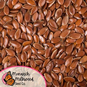 May include: Close-up of a large quantity of brown flax seeds. The seeds are oval-shaped and have a smooth, shiny surface. The image is taken from a bird's-eye view.