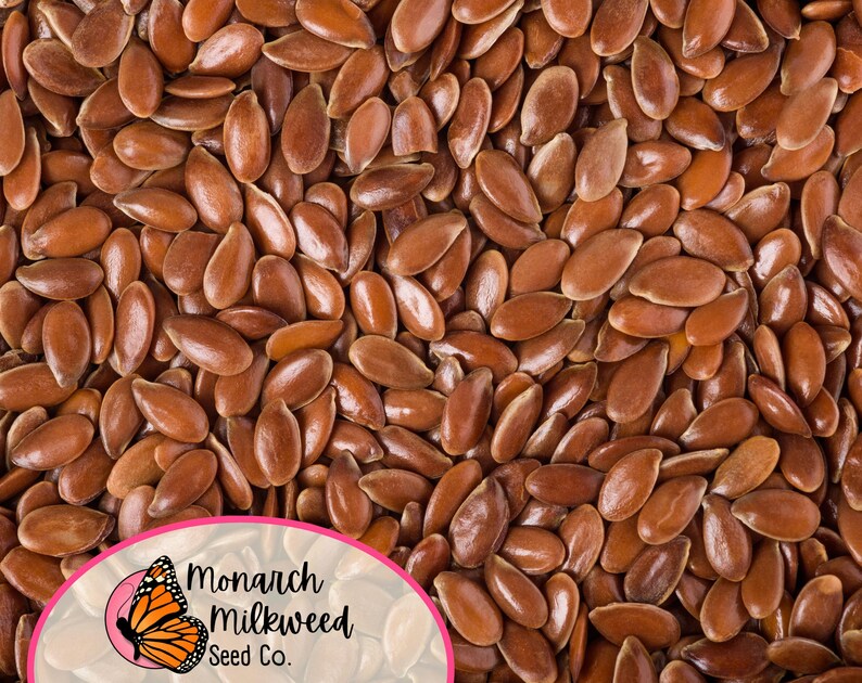 May include: Close-up of a large quantity of brown flax seeds. The seeds are oval-shaped and have a smooth, shiny surface. The image is taken from a bird's-eye view.