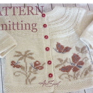 PDF KNITTING PATTERN cardigan Butterflies P113