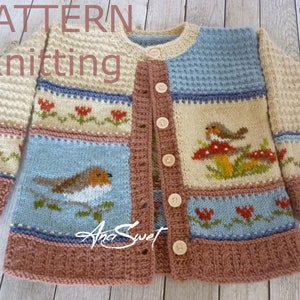 PDF KNITTING PATTERN Cardigan Robin P130