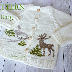 PDF Knitting pattern  baby cardigan Winter in the forest P106