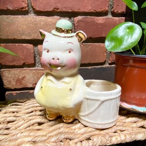 May include: A ceramic piggy bank planter with a green hat and a yellow shirt. The planter is sitting on a wicker surface with a small plant in a white ceramic pot.