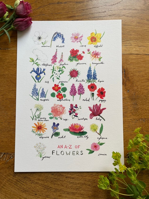 A4 Flower Alphabet A Z of Flowers Watercolour Print by Etsy