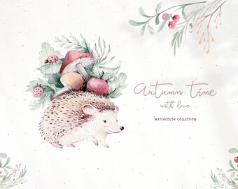 Watercolor boho autumn hedgehog flowers & leaves.  digital Clip art collection. Individual PNG files. Hand Painted autumn