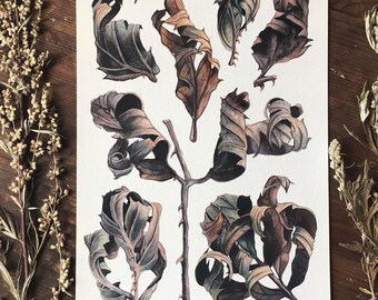 Dead leaves, Watercolor print