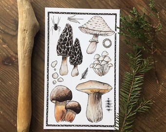 Shrooms Print
