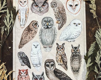 Owls, Watercolor, Art print.