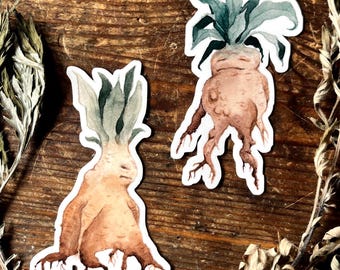 Roots mandrake vinyl stickers