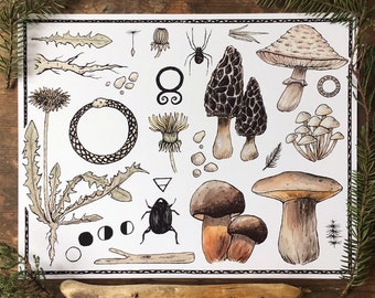 Shrooms and Dandelions Print