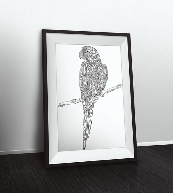 Featured image of post Sun Conure Drawing Black And White Check out inspiring examples of sunconure artwork on deviantart and get inspired by our community of talented artists