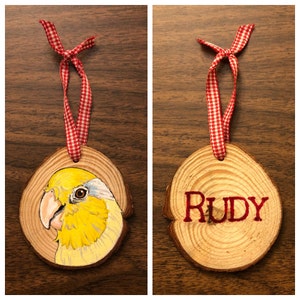May include: Two wooden ornaments with red and white checkered ribbon. One ornament features a hand-painted yellow and white bird with a black eye. The other ornament has the name "RUDY" painted in red.