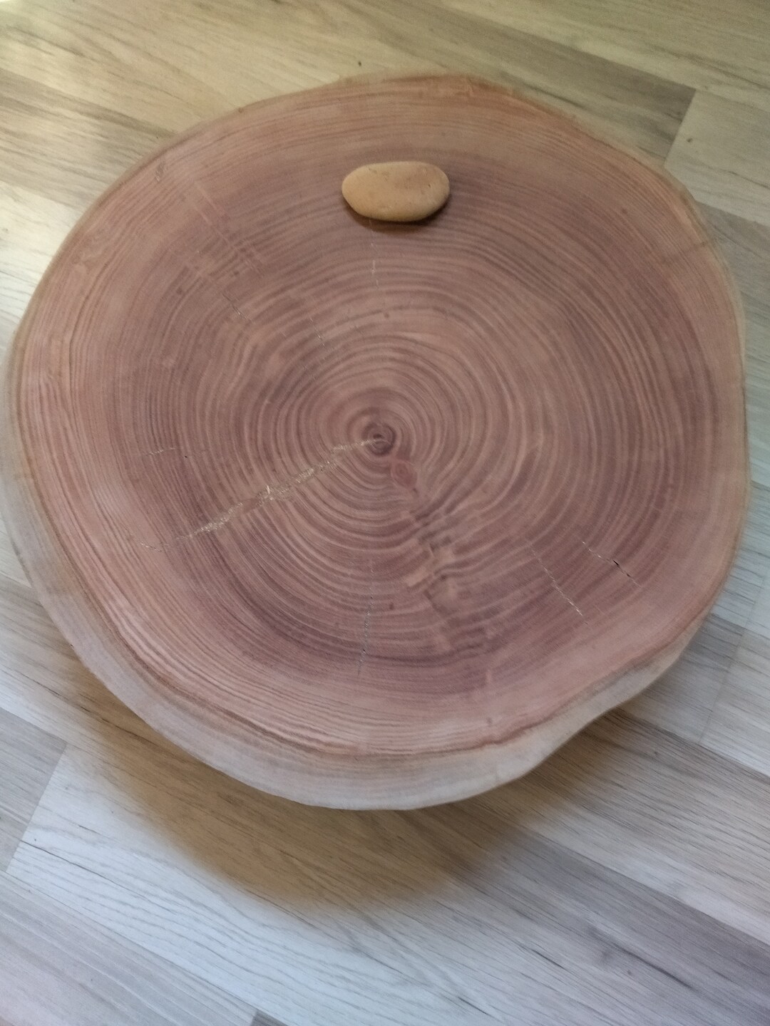 15 Discund,tree Trunk Slice, Coffee Table, Log, Natural Decoration