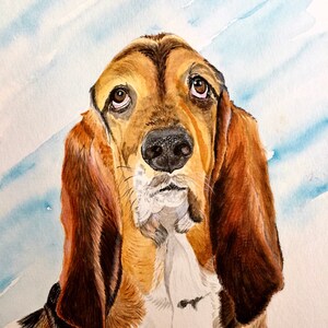 Basset Hound Mixed Media Print Giclee