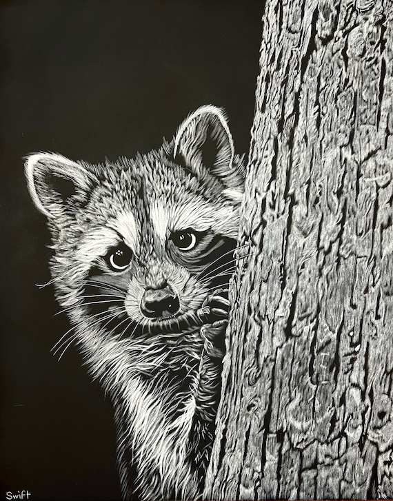 Original Raccoon Scratchboard Art