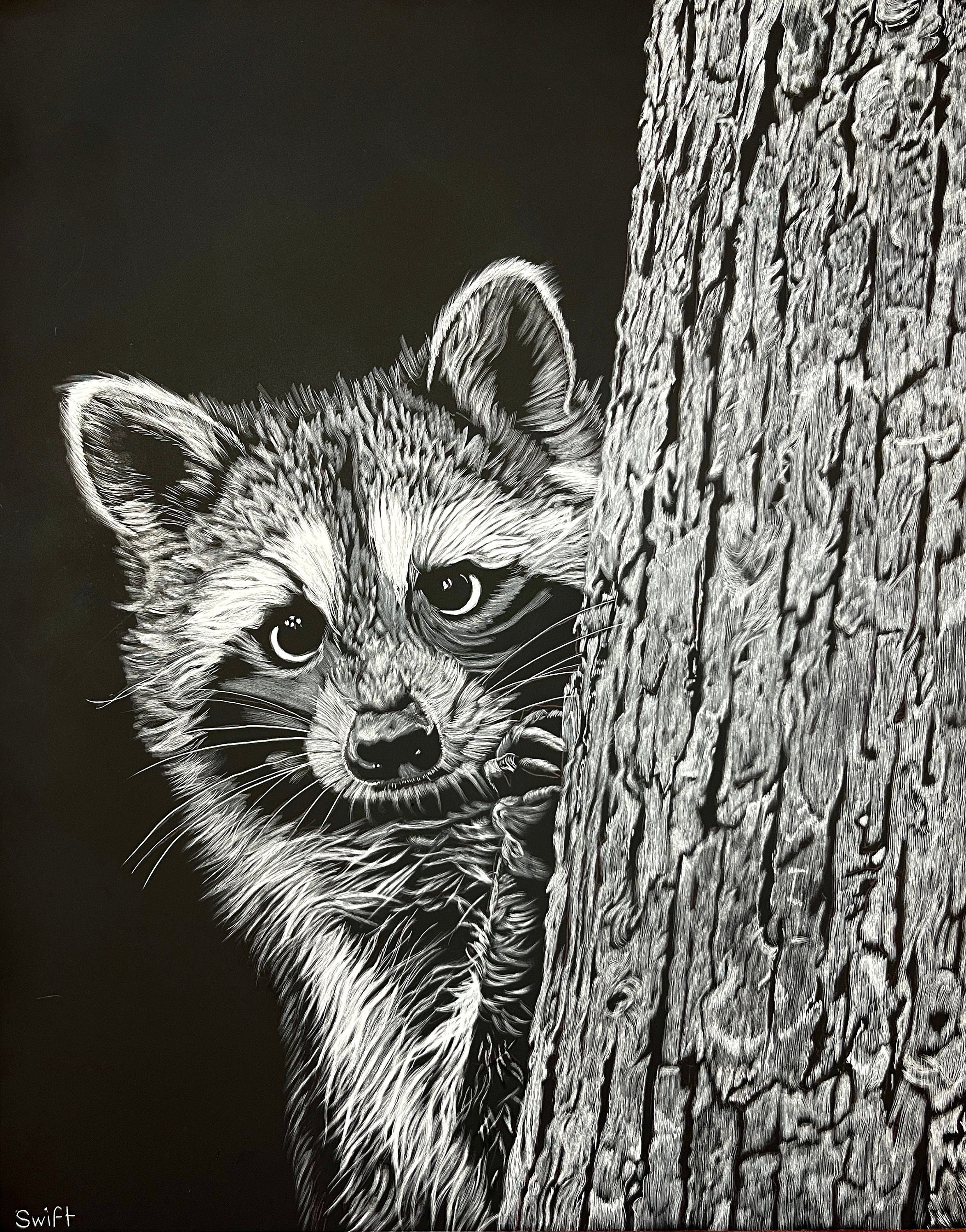 Scratchboard.org  Scratchboard art lessons, Scratchboard, Scratchboard art