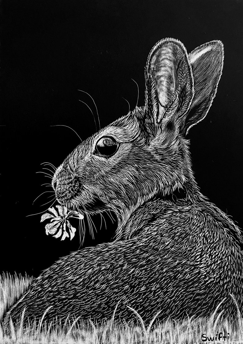 Scratchboard Bunny Rabbit Original Art Etsy
