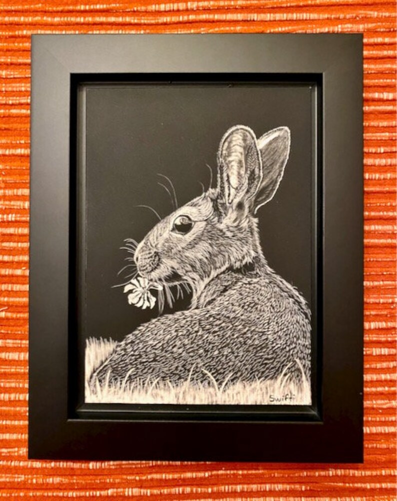 Scratchboard Bunny Rabbit Original Art Etsy