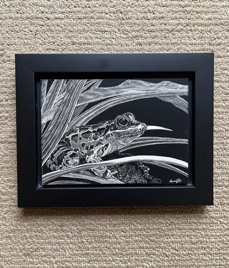 Frog Original Scratchboard Art Etsy