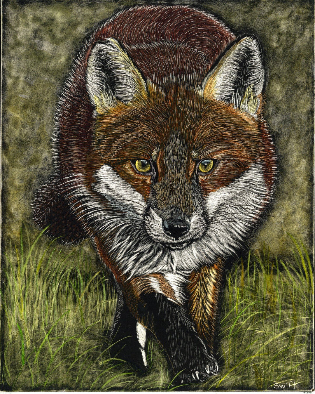 Red Fox Scratchboard Art Print Reproduction Etsy