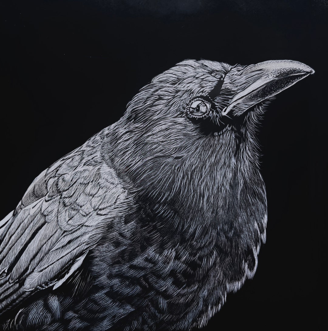 Crow Raven Scratchboard Art Original Etsy