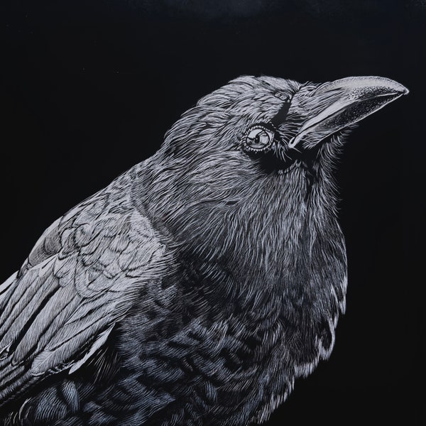 Crow Raven Scratchboard Art Original