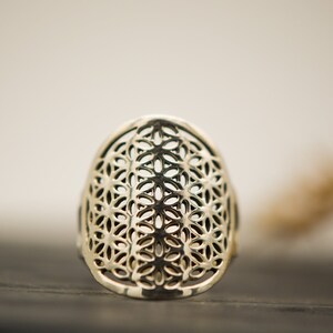 Könnte beinhalten: Ein silberner Ring mit einem detaillierten geometrischen Design, das an ein Lebensblume-Muster erinnert.