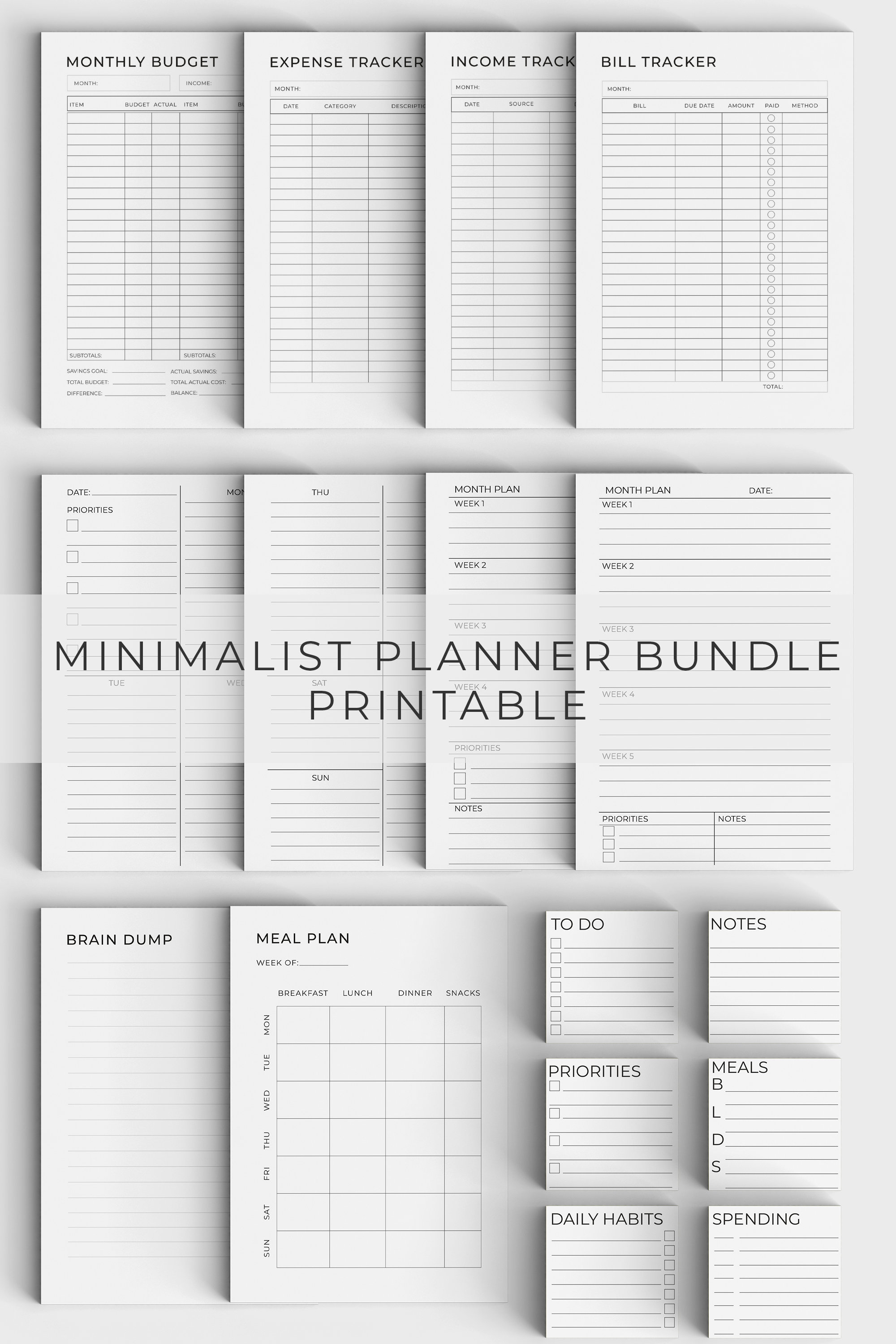 Financial Planner Budget Insert