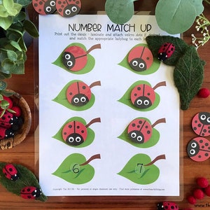Corrispondenza numero coccinella stampabile, libro occupato, centro di matematica, conteggio coccinella, attività prescolare, matematica stampabile, homeschool stampabile, bug