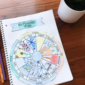 Maandelijks fenologiewiel afdrukbare sjabloon, natuurjournaling, homeschool printables, kinderen, natuurstudie, interactieve notebooks, lapbook