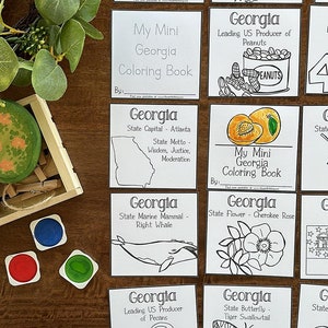 Mini GEORGIA Coloring Pages, 50 States Coloring Page, USA Homeschool Coloring Pages, Coloring Printable, 50 States PDF, Unit Studies