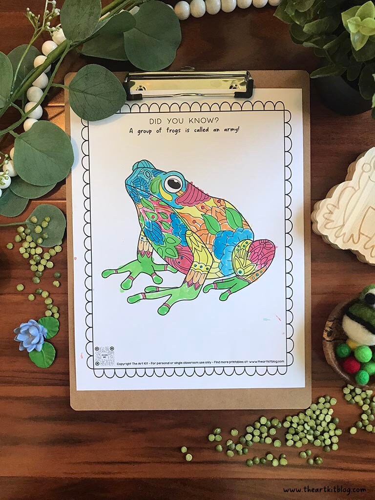 Frog Coloring Pages Nature Study Printables for Kids Frog - Etsy Sweden