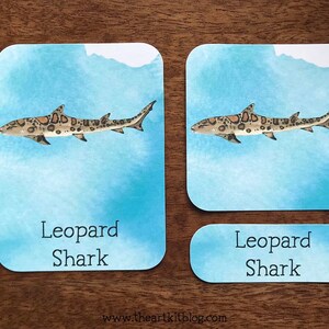 Tarjetas de 3 partes de tiburones PDF, Tarjeta de nomenclatura Montessori, Decoración del aula, Estudio de unidad de tiburones, Tarjetas imprimibles de tiburones, Descarga instantánea, Educación en el hogar