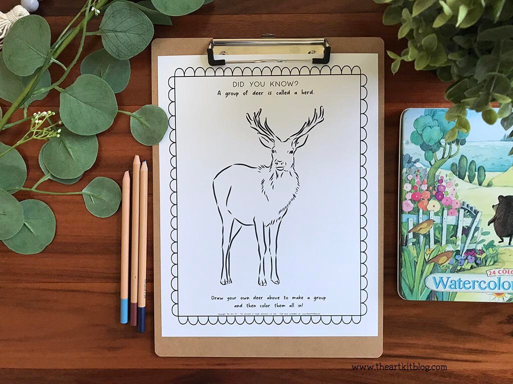 Coloring Book Pages Of Animal Groups