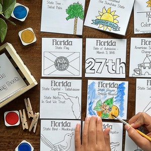 Mini FLORIDA Coloring Pages, 50 States Coloring Page, USA Homeschool Coloring Pages, Coloring Printable, 50 States PDF, Unit Studies