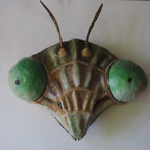 Preying Mantis Mask, Insect mask, mask, cosplay, bug,paper mache, wearable