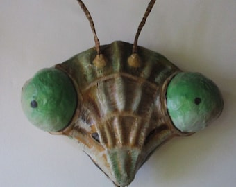 Preying Mantis Mask, Insect mask, mask, cosplay, bug,paper mache, wearable